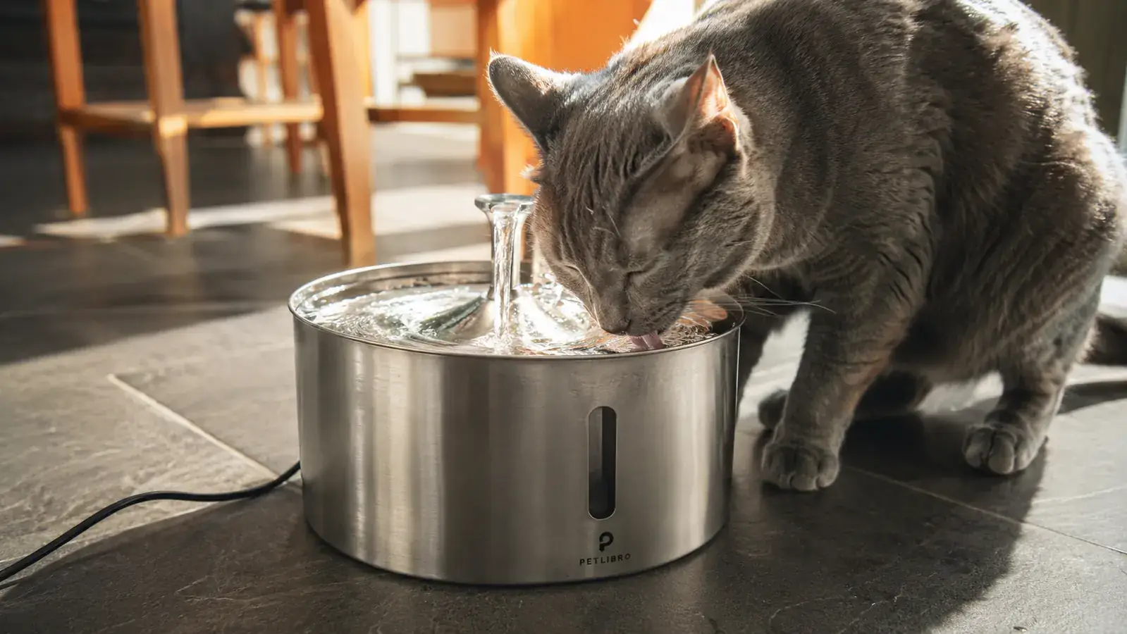 ORSDA Cat Water Fountain Review: 5 Months In and Still Whisper-Quiet