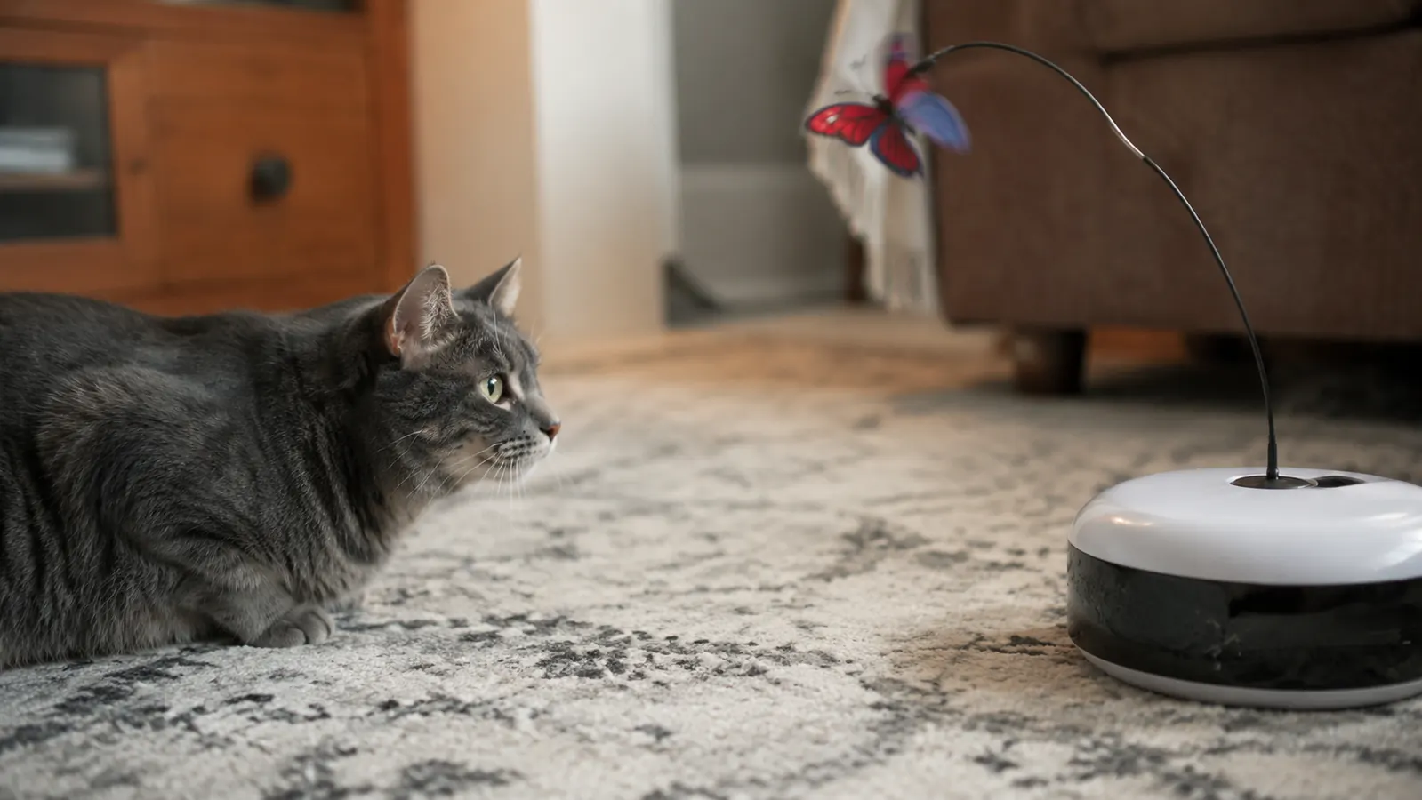 Potaroma Cat Toy Review: How the 3-in-1 Design Keeps Even Lazy Cats Moving